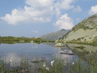 IMG 2952