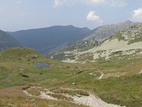 IMG 2961