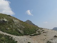 IMG 2966