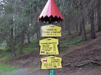IMG 2979