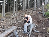 IMG 2981