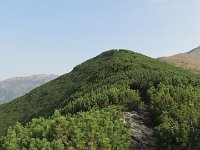 IMG 2995