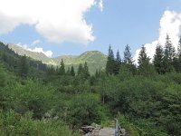 IMG 3041