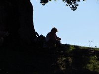 IMG 0857