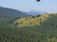 IMG 0859