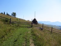 IMG 0866