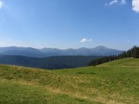 IMG 0869