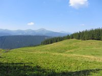 IMG 0872