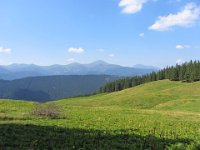 IMG 0875