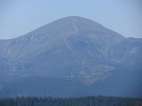 IMG 0876