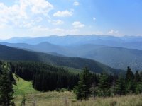 IMG 0879