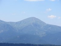 IMG 0880