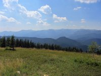 IMG 0886