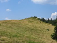 IMG 0899