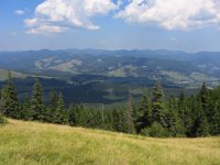 IMG 0901