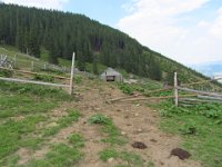 IMG 0910