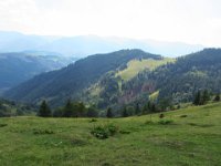 IMG 0917