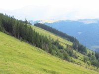 IMG 0923