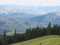 IMG 0928