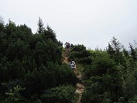 IMG 1325