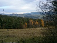 DSC 0025