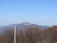 IMG 0004
