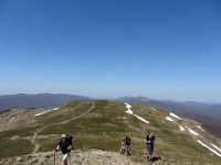 IMG 0008