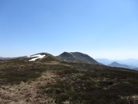 IMG 0011