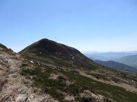 IMG 0016
