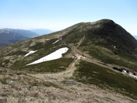 IMG 0017