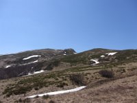 IMG 0031