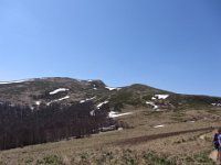 IMG 0039