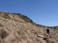 IMG 0042