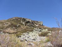 IMG 0044