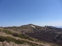 IMG 0050