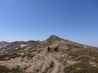IMG 0051