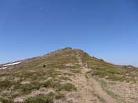 IMG 0064