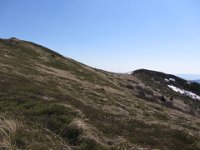 IMG 0071