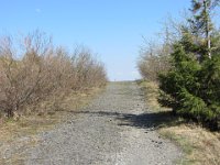 IMG 0075