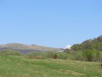IMG 0077