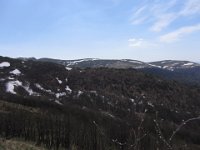 IMG 0019
