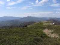 IMG 0023