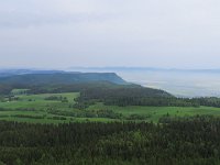 IMG 3800
