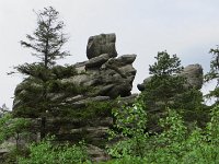 IMG 3805