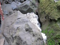 IMG 3818