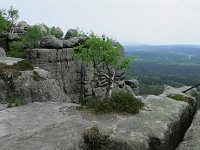IMG 3826