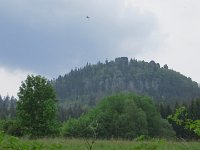 IMG 3833