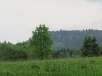 IMG 3835