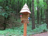 IMG 3845