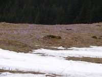 DSC00070